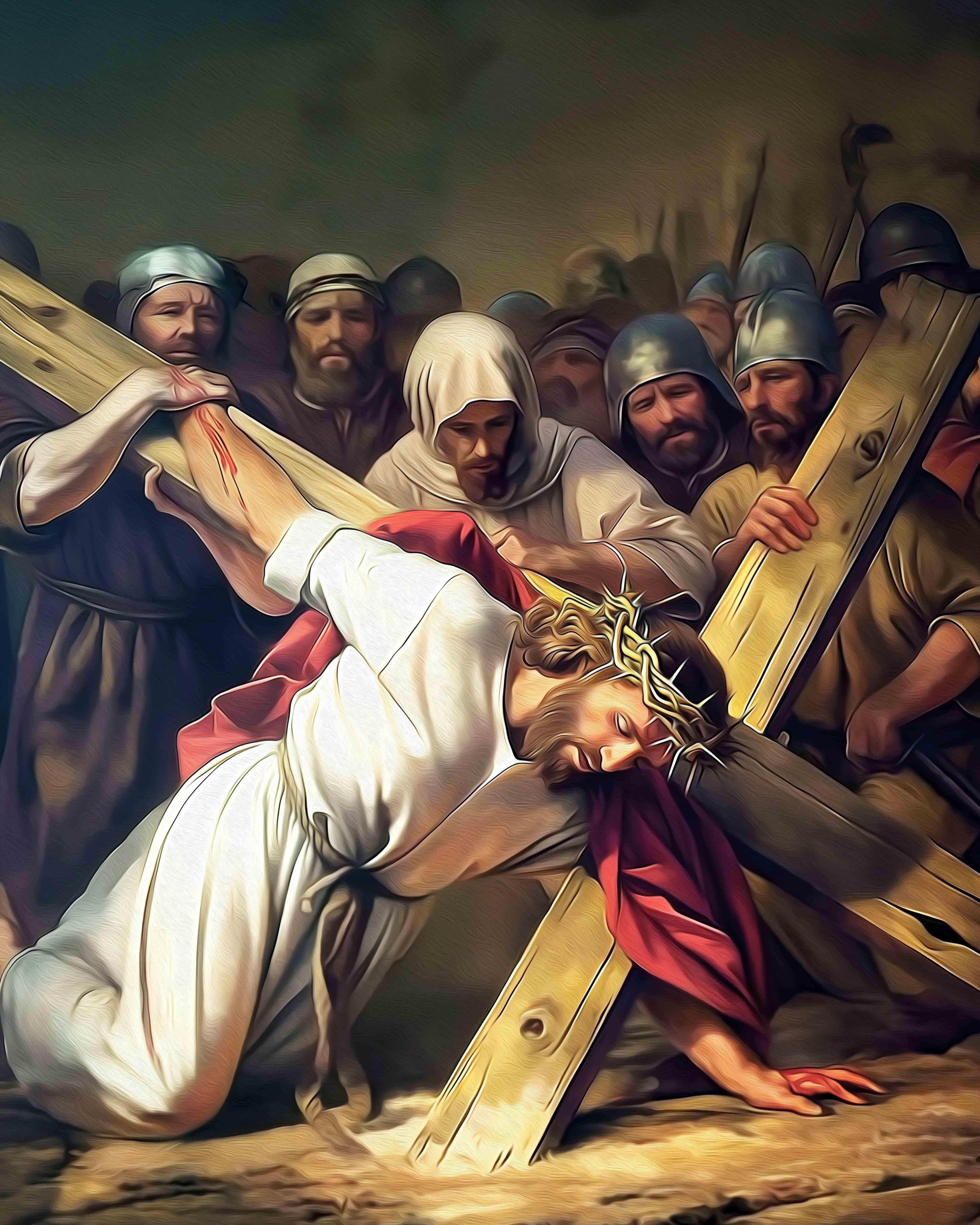 Station 7 - Series 2024